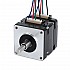 Nema 16 Assembled Motor w/ Hollow & Solid Shaft Bipolar 1.8deg 8Ncm(11.33oz.in) 0.3A 39x39x40mm 4 Wires